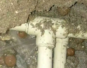 柳城测漏水多少钱