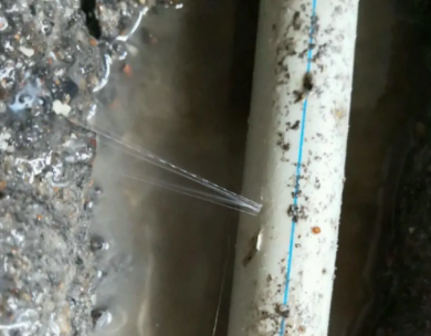 柳城测漏水哪家好