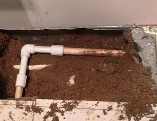 柳城测漏水哪家好