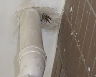 柳城漏水检测哪家好