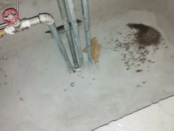 柳城卫生间测漏水价格明细